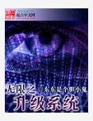无限之升级系统